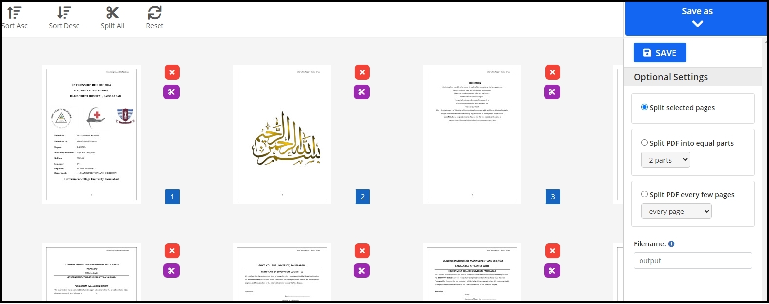 file saving settings in pdf 2 go