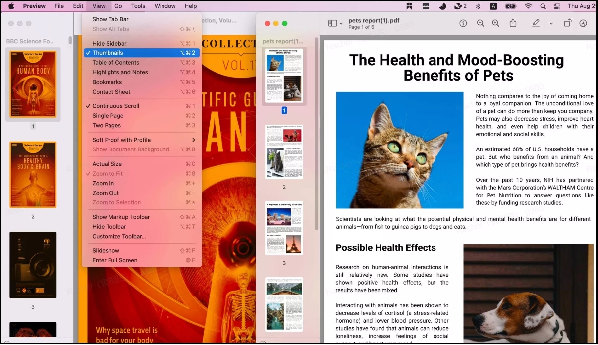 thumbnail preview for two pdf files in mac preview app