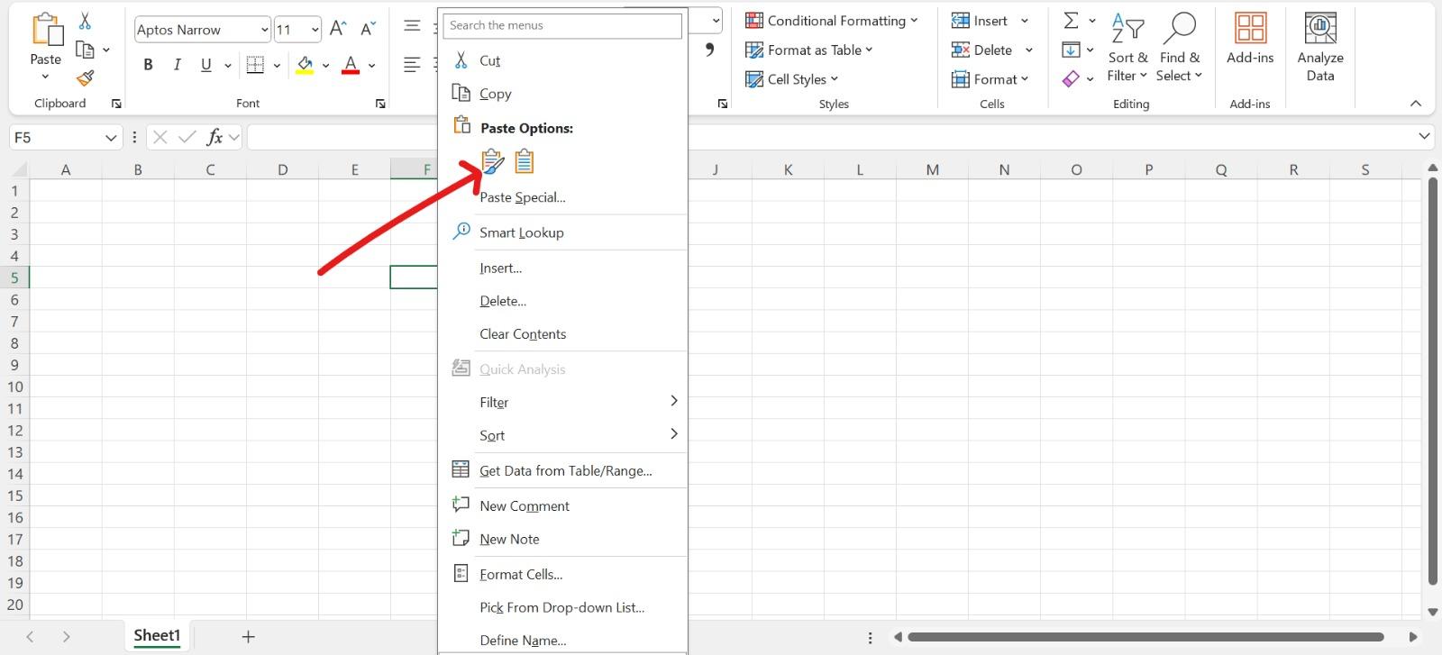 pasting the copied text into the Excel sheet