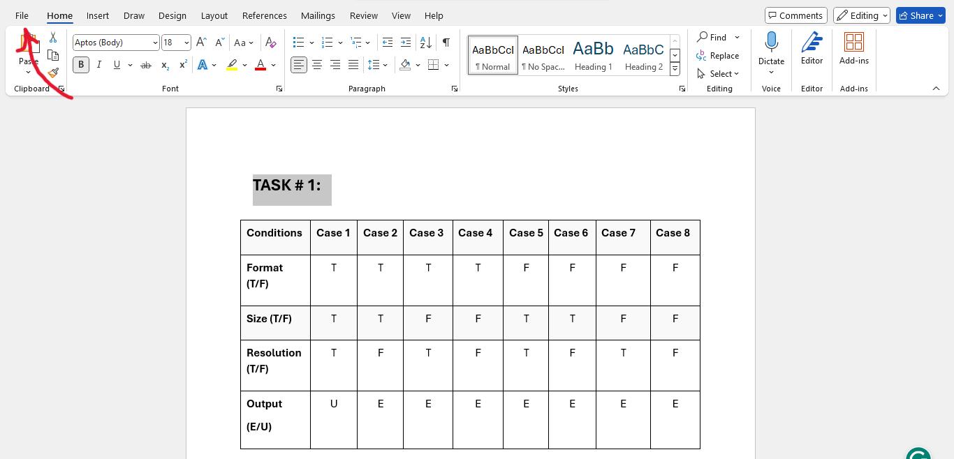 opening the file to convert to Excel