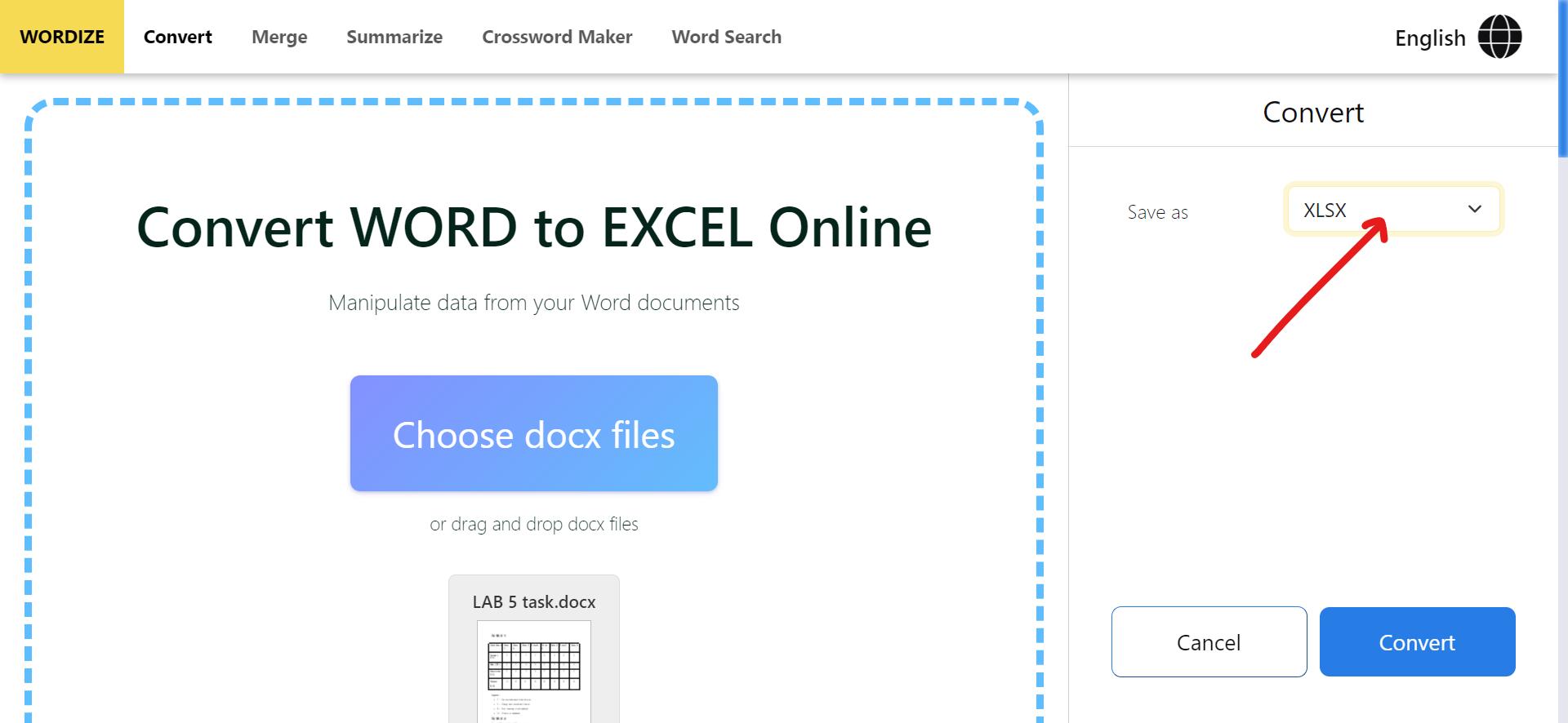 choosing the save as option  for output in Wordize