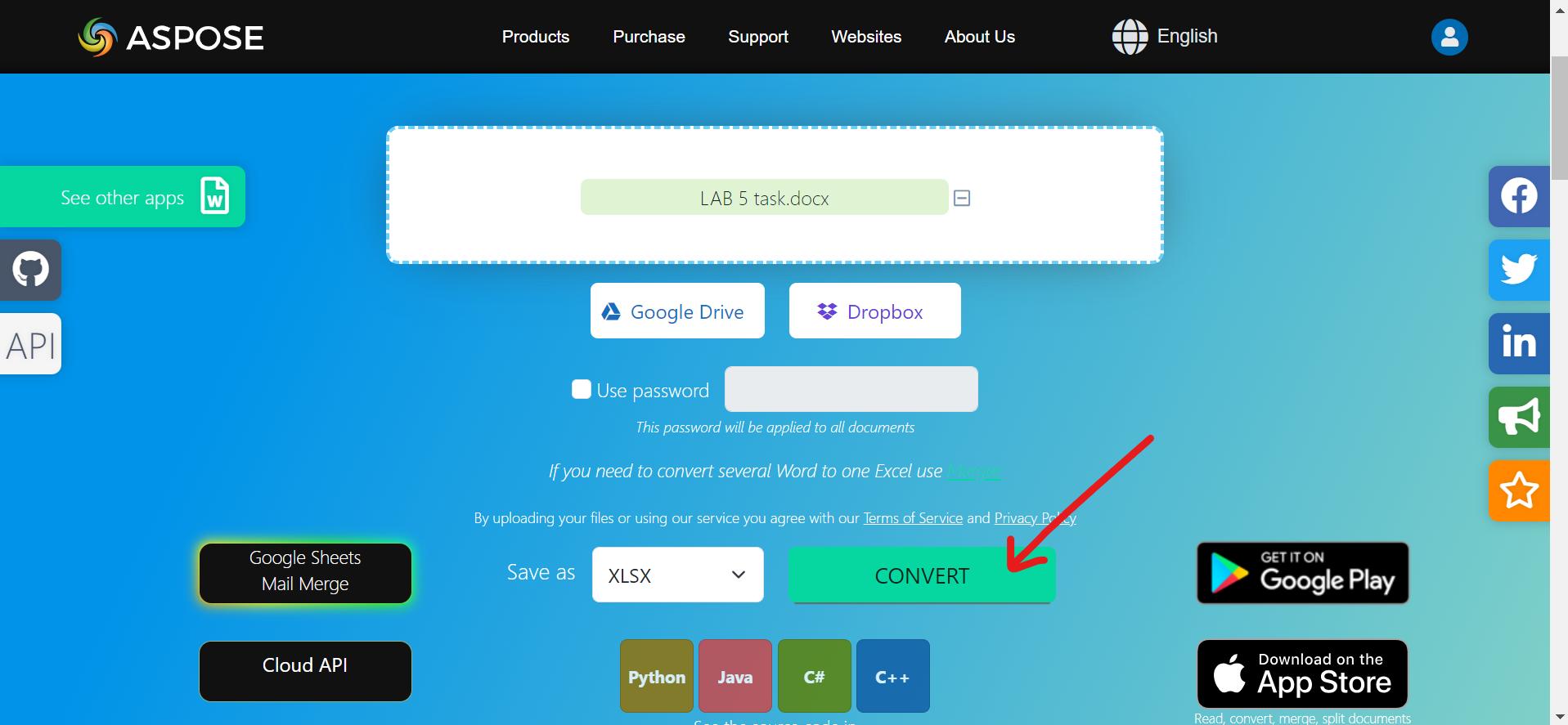 starting the conversion process in aspose