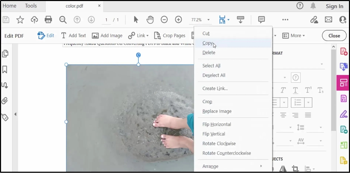 copy image in adobe acrobat