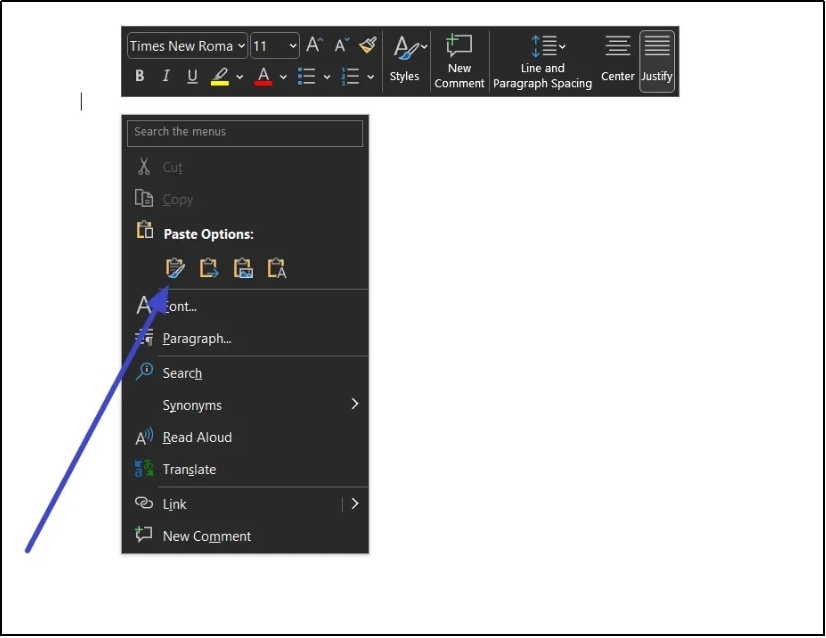 paste with formatting option in ms word