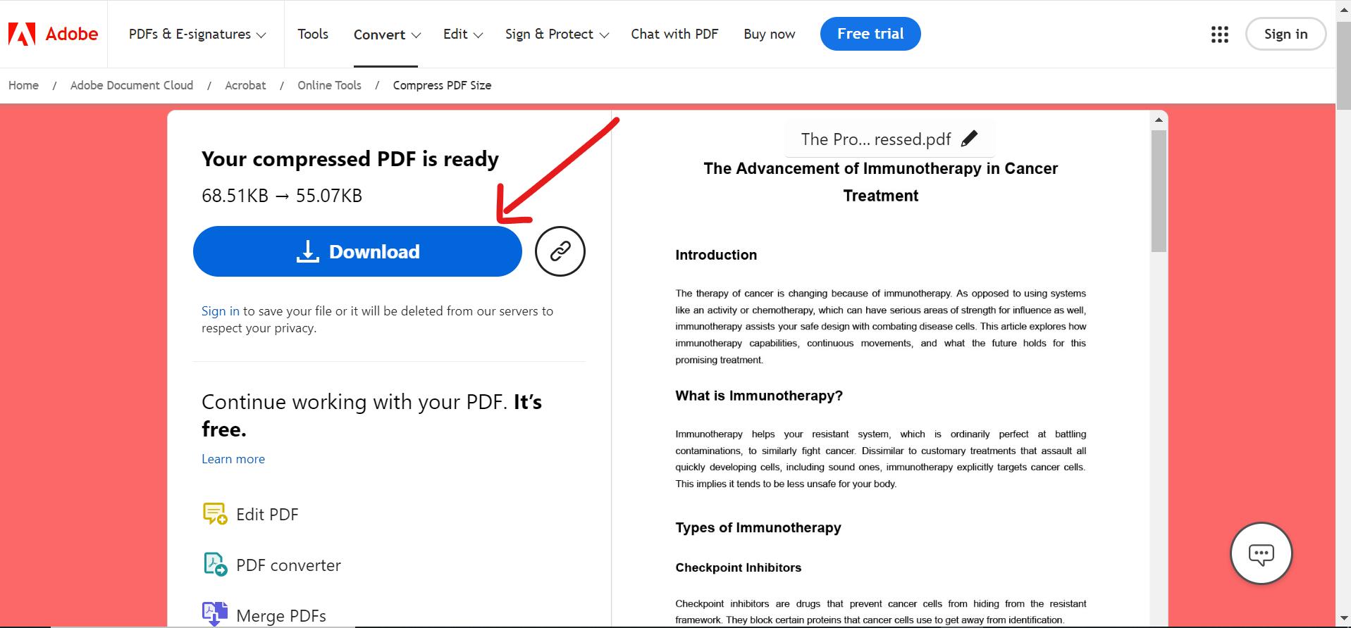 downloading the compressed PDF document