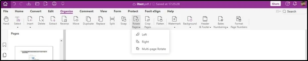 foxit pdf reader interface