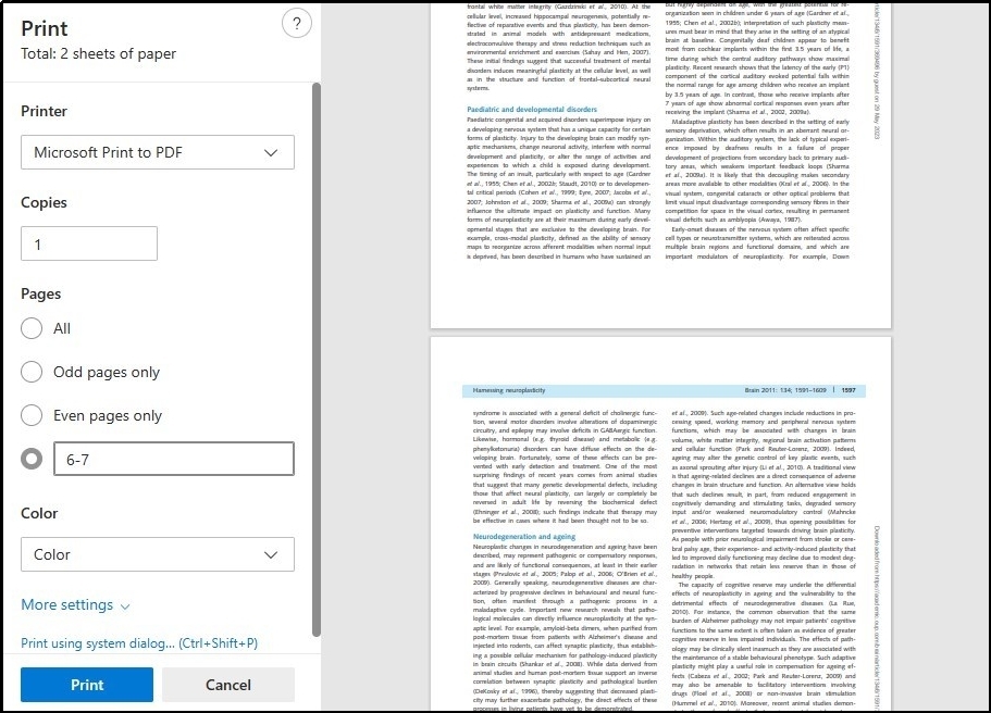 printing tab preview in Microsoft edge