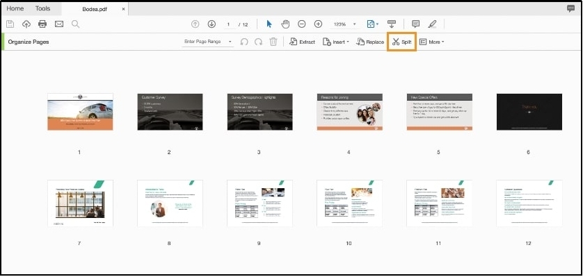 split option in adobe acrobat