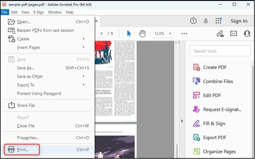 print option in adobe acrobat pro