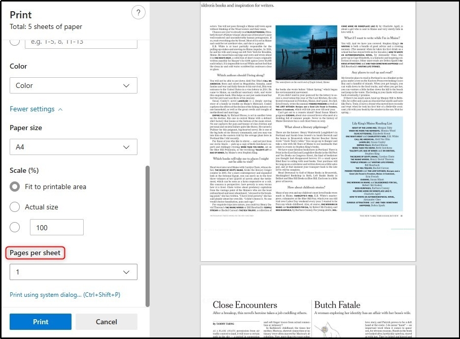 print settings in Microsoft edge