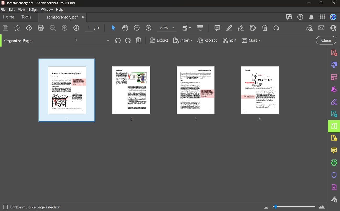 adobe acrobat pdf organizer