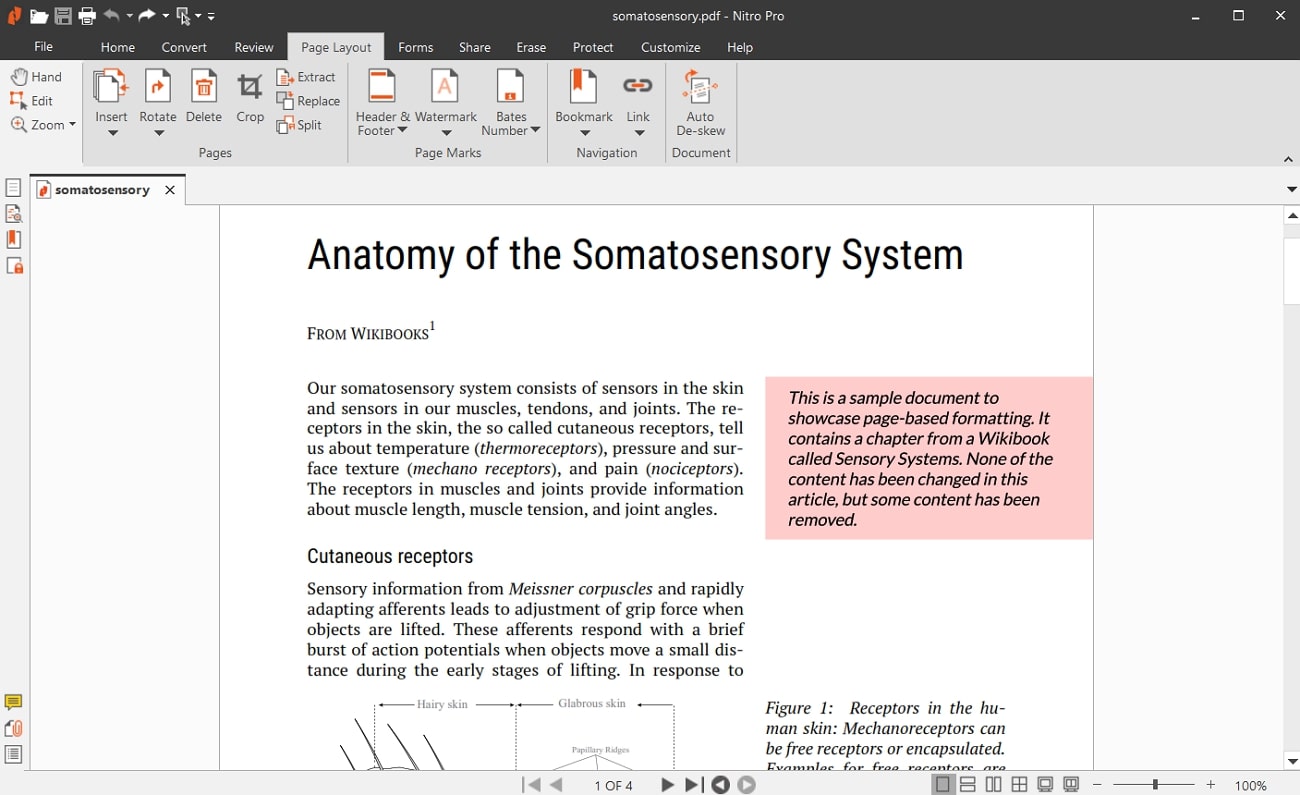 nitro pro pdf organizer