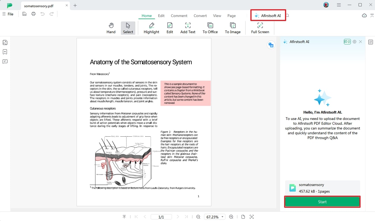 lead to afirstsoft ai and summarize