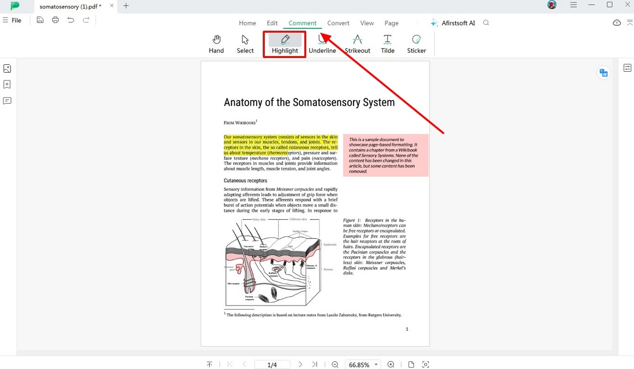 highlight important points in afirstsoft