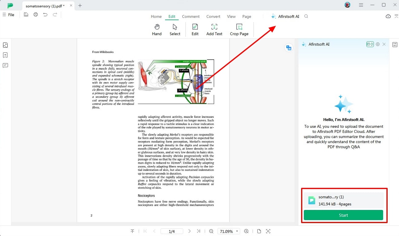 create summary with afirstsoft ai