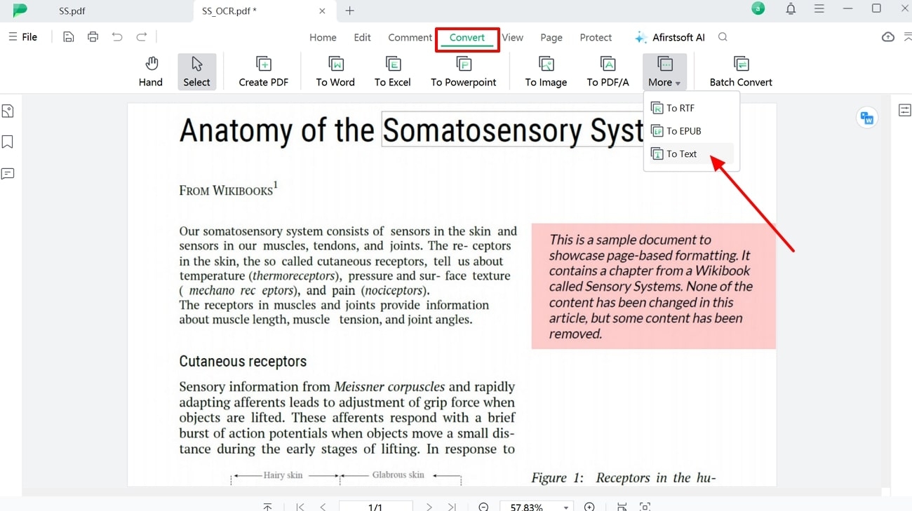 convert file into text format