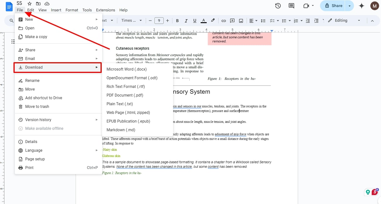 export file in any format