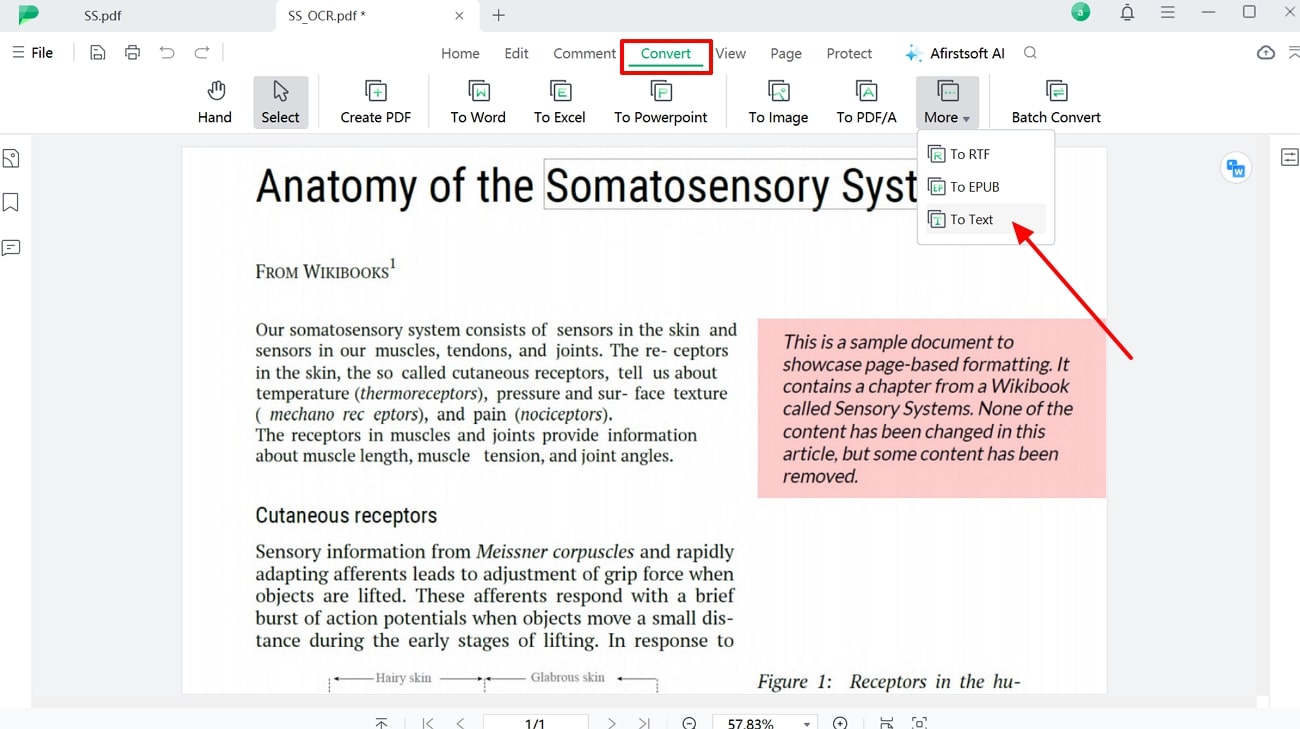 convert image into text