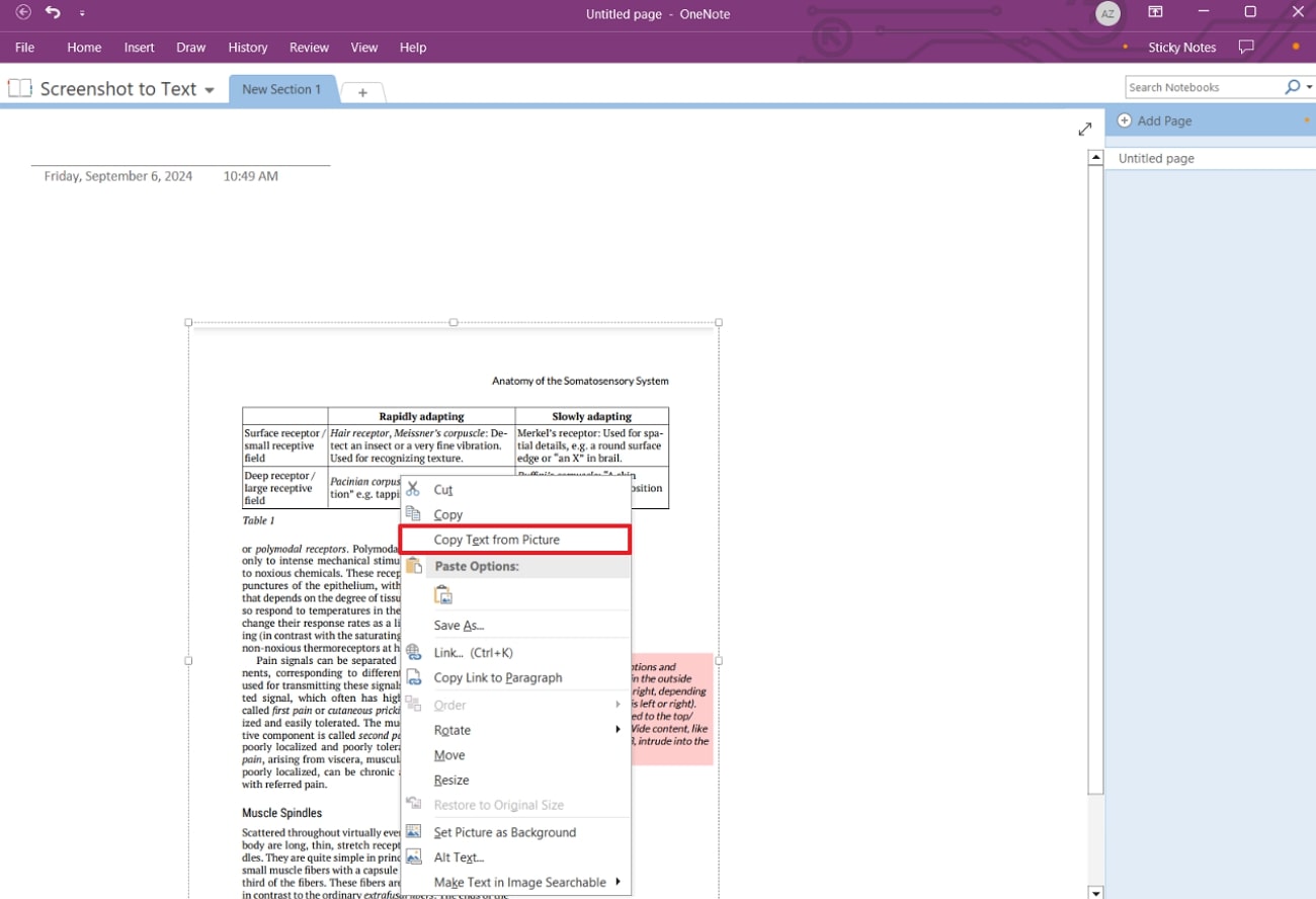 copy text from picture onenote