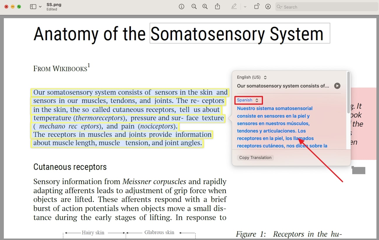 select language for translation