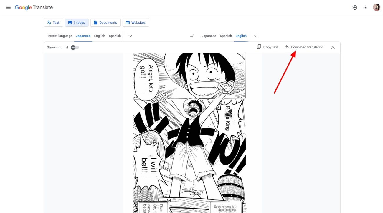 translate one piece manga to english