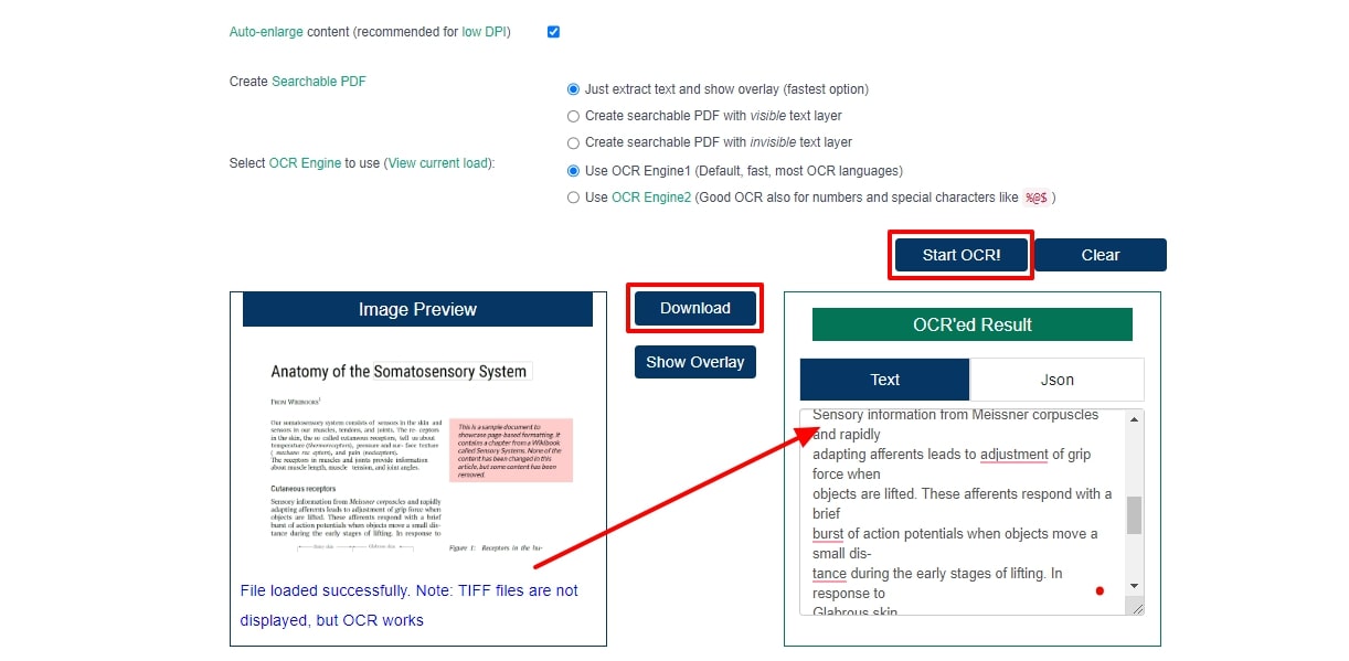 start ocr and download text  