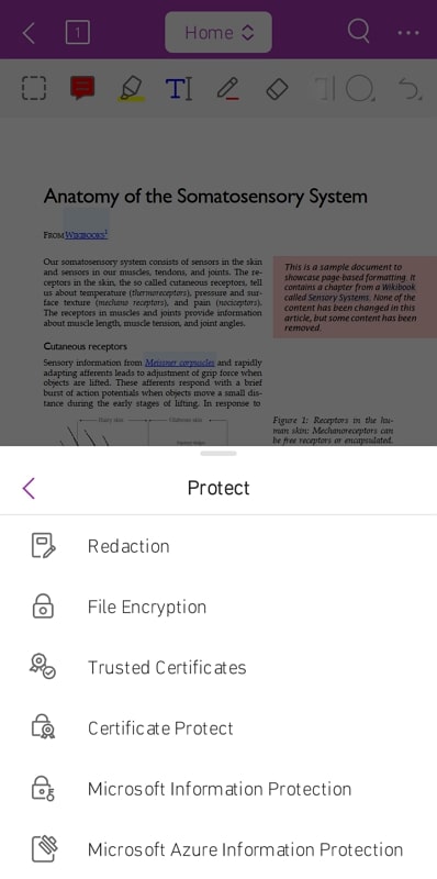 foxit pdf secure pdf from editing