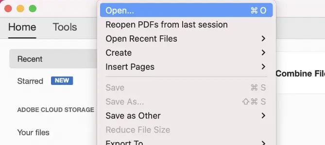 Open the PDF in Adobe Acrobat