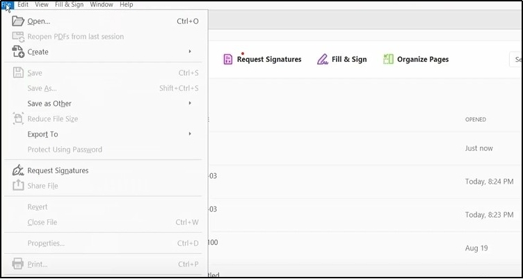 file option in adobe acrobat to open files