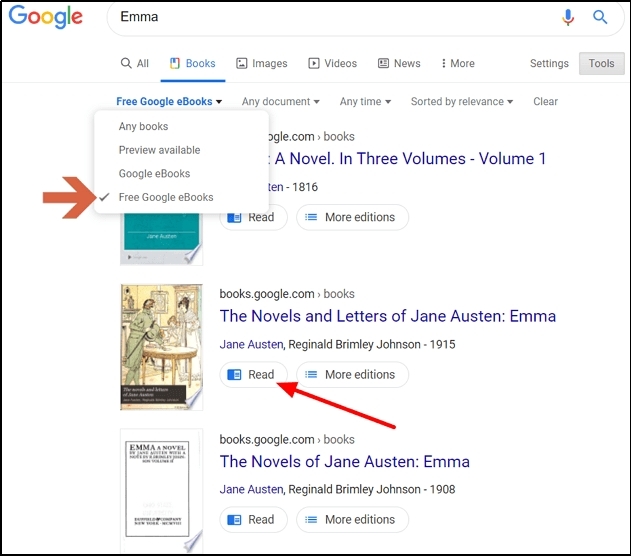 google books searching interface