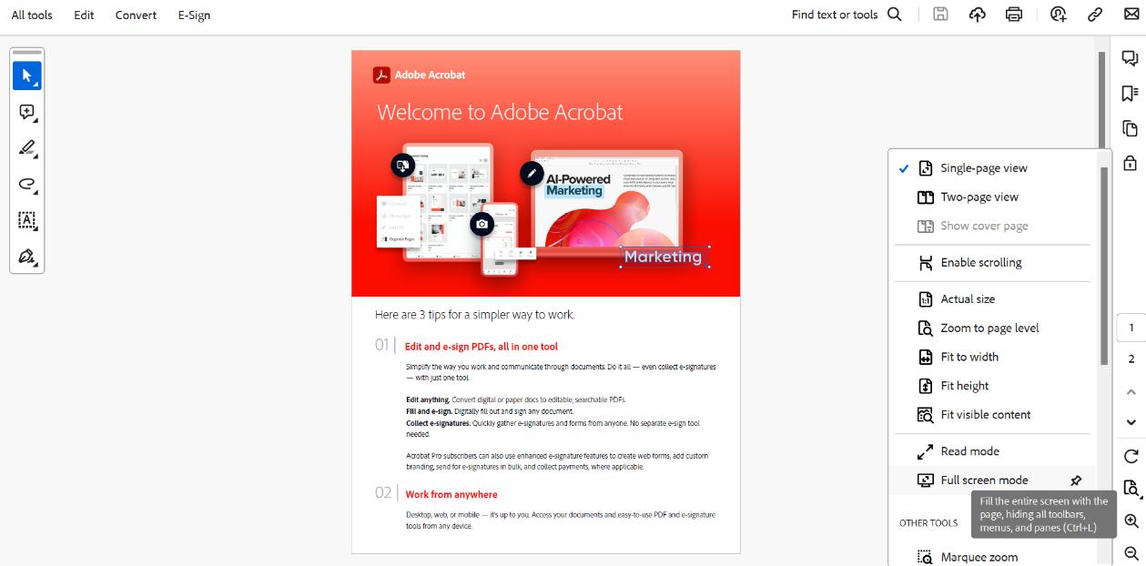 adobe acrobat reader viewing