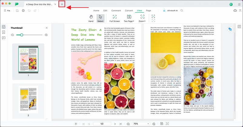 view multiple pdfs